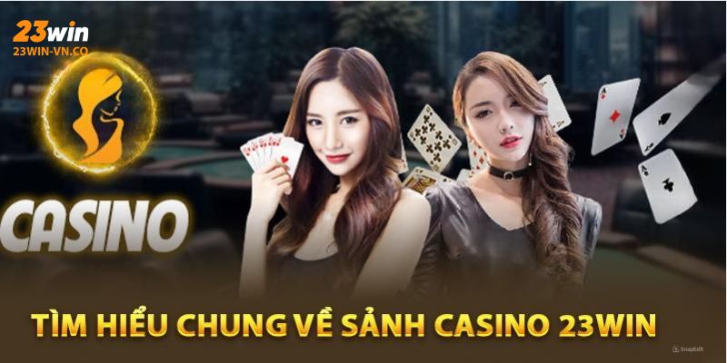 Casino 23Win